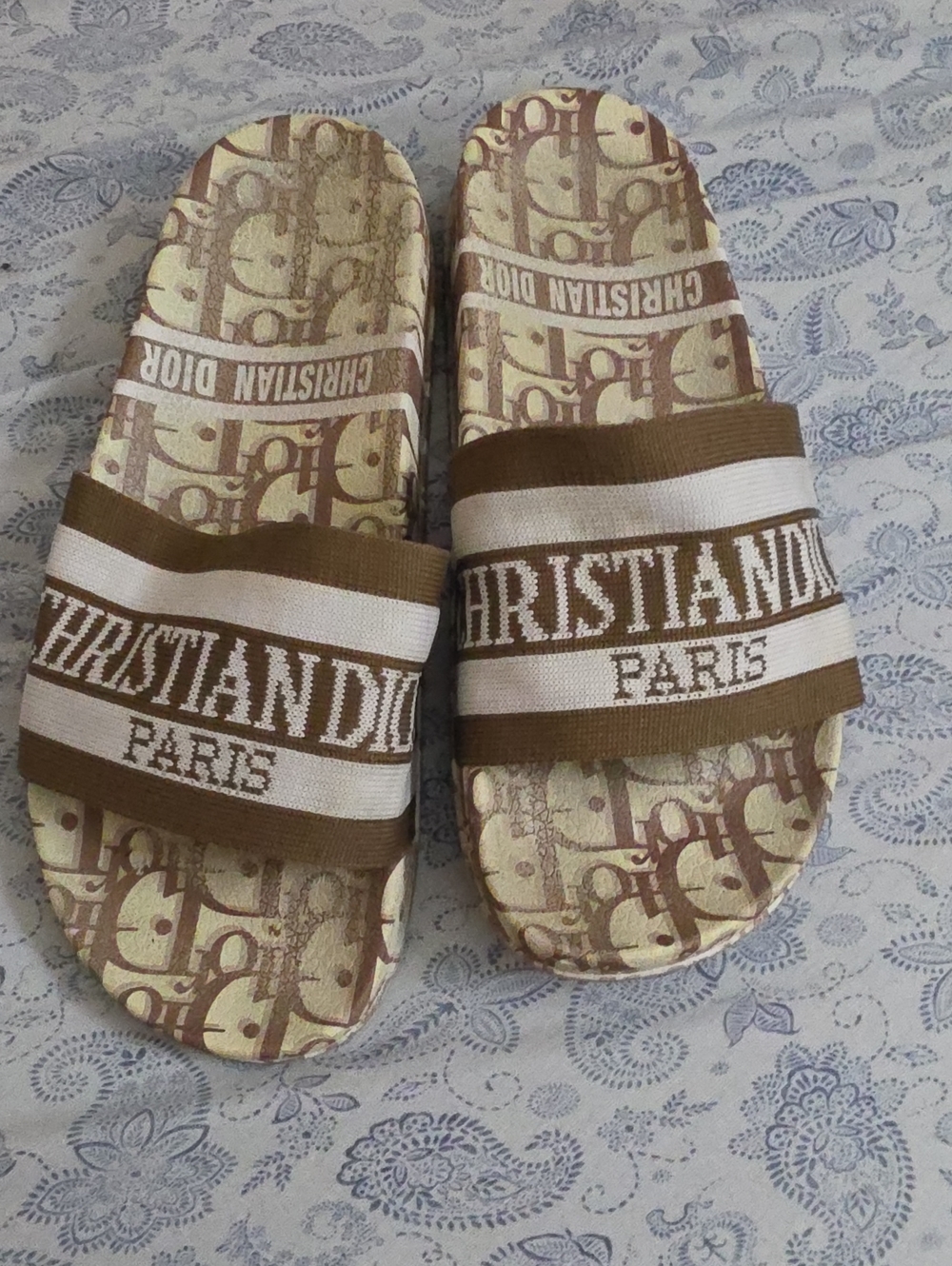 Dior Women's Slide Sandals in Brown & Cream
